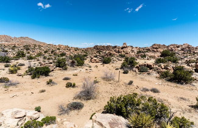A backcountry campsite in a desert landscape with boulders, mountains, and desert vegetation