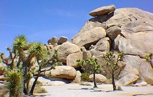 Cap Rock