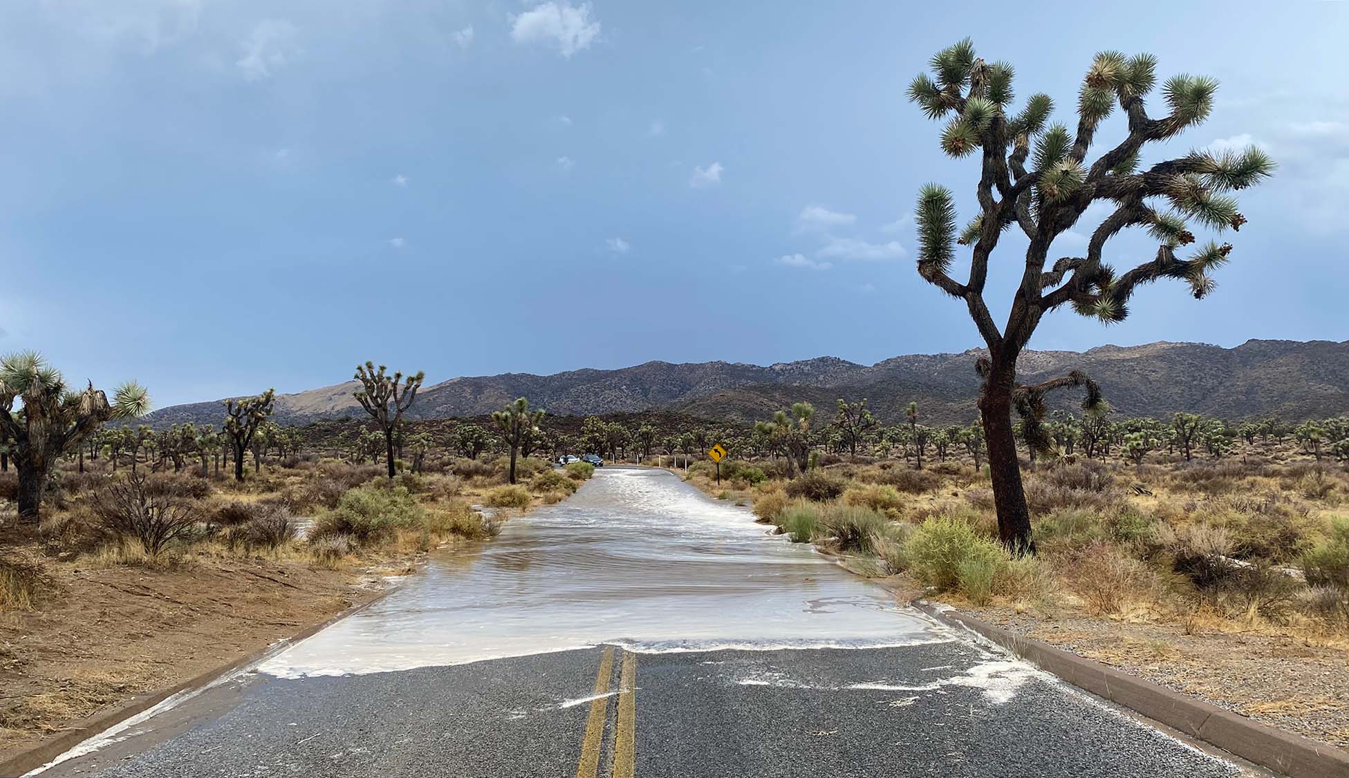 Floods Joshua Tree National Park (U.S. National Park Service)
