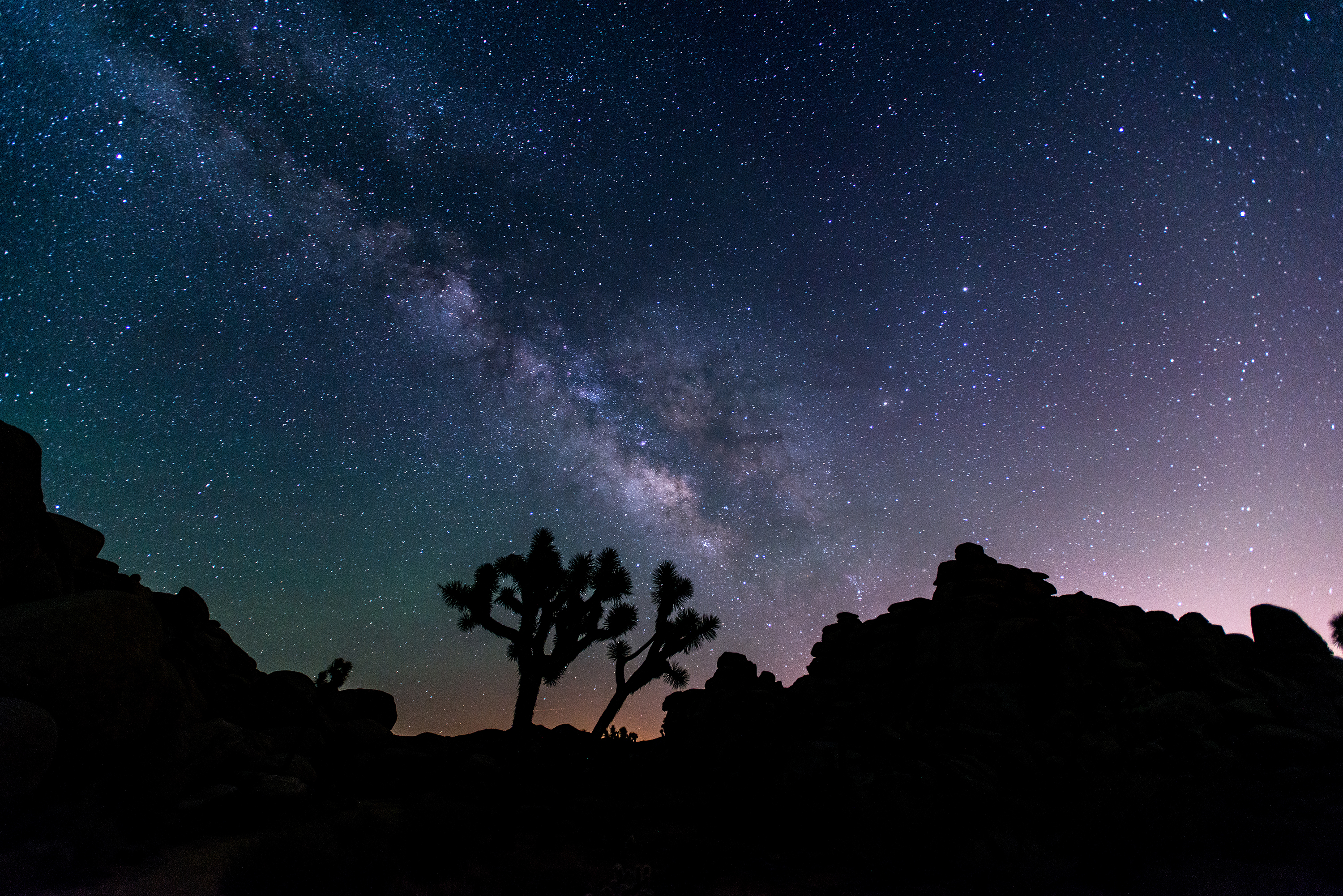 Night Sky Festival - Joshua Tree National Park (U.S. National Park Service)