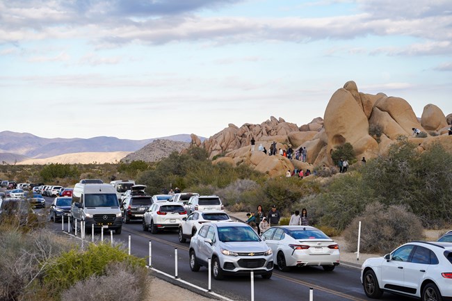 A park road full of cars lined up in both directions in front of a collection of boulders.