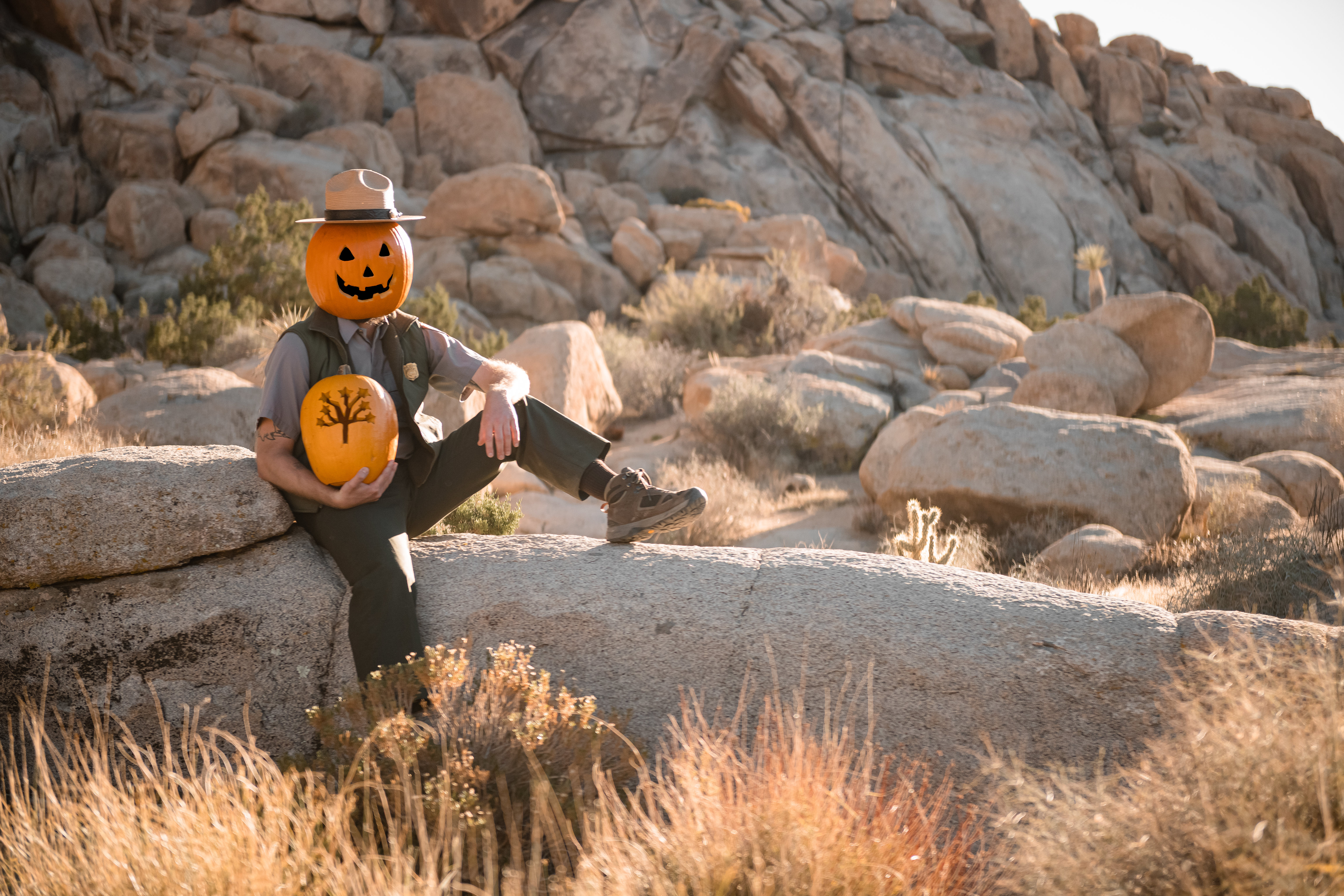 A ranger wearing a Jacko lantern over their head and holding a pumpkin with a Joshua tree silhouette carved into it.
