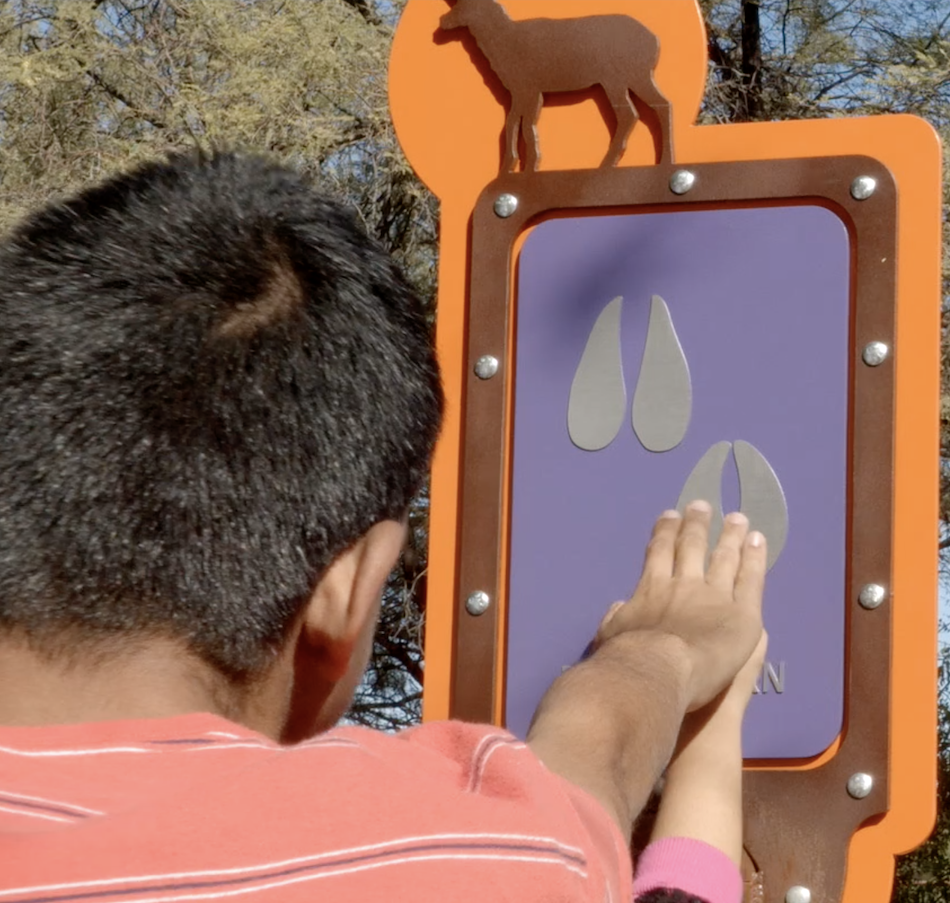 ATCHP tactile exhibit 2 A young man touches an animal track on a tactile exhibit