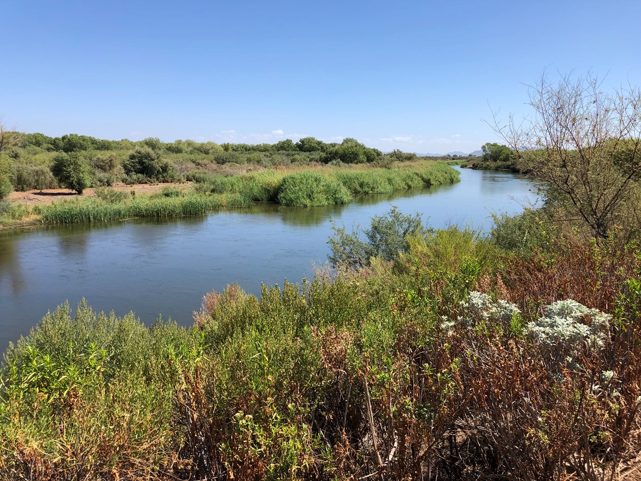 A wide river winds through lush vegetation with mountains in the distance