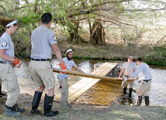 Five people carry planks of wood to build a bridge over a shallow river