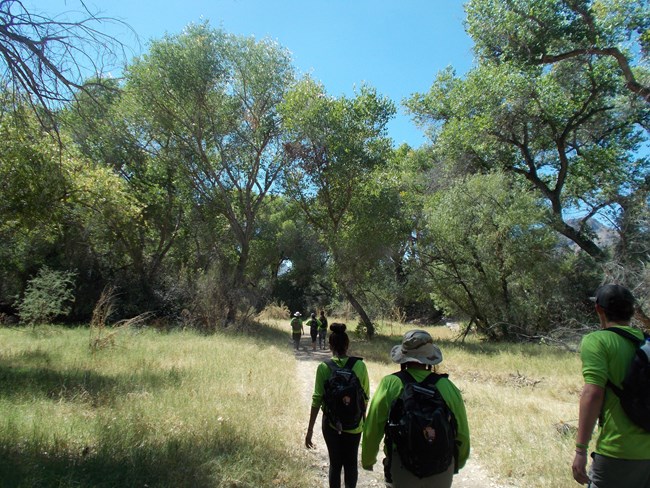 Groups of youth hike along a portion of the Anza Trail