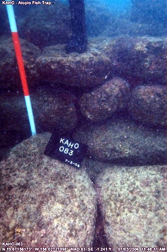 Underwater photo of gps surveyed wall section.