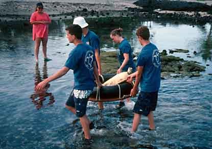 Volunteers collecting reef information.