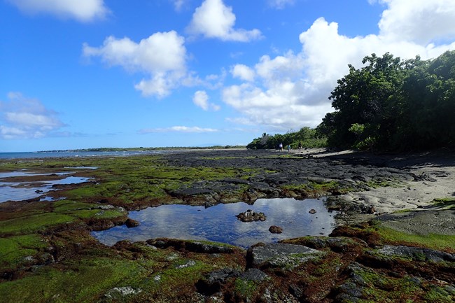 Tide pools