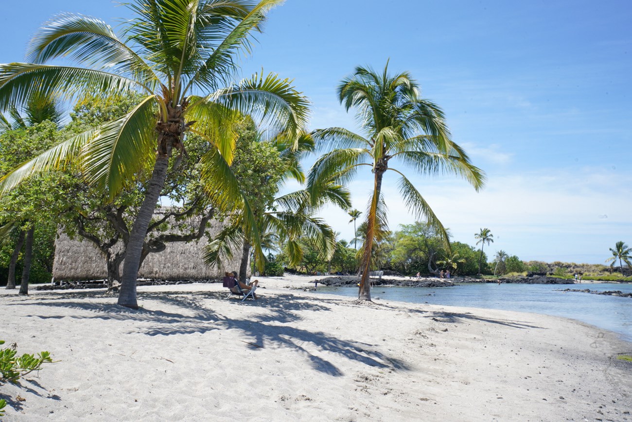 Sandy beach with a triangular structure and palm trees in the background. Blue skies.