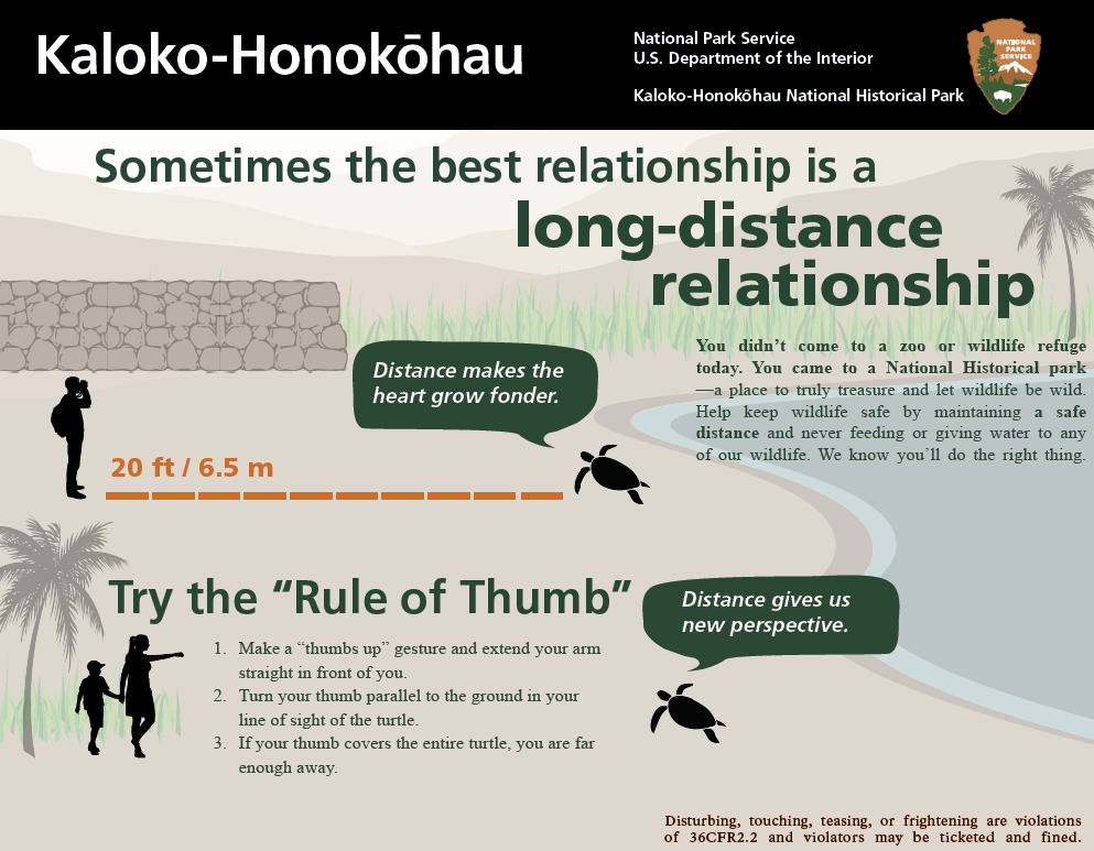 A poster that describes how to keep a distance of 20 feet from green sea turtles by sticking out your thumb. If the turtle fits inside thumb then person is at a safe enough distance.