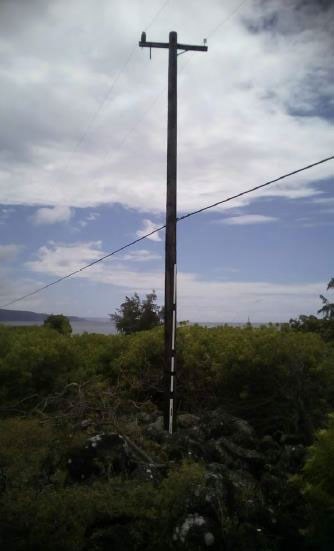 Power pole with power lines