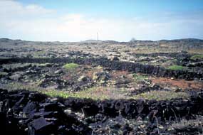 Archeological site on Kalaupapa peninsula.