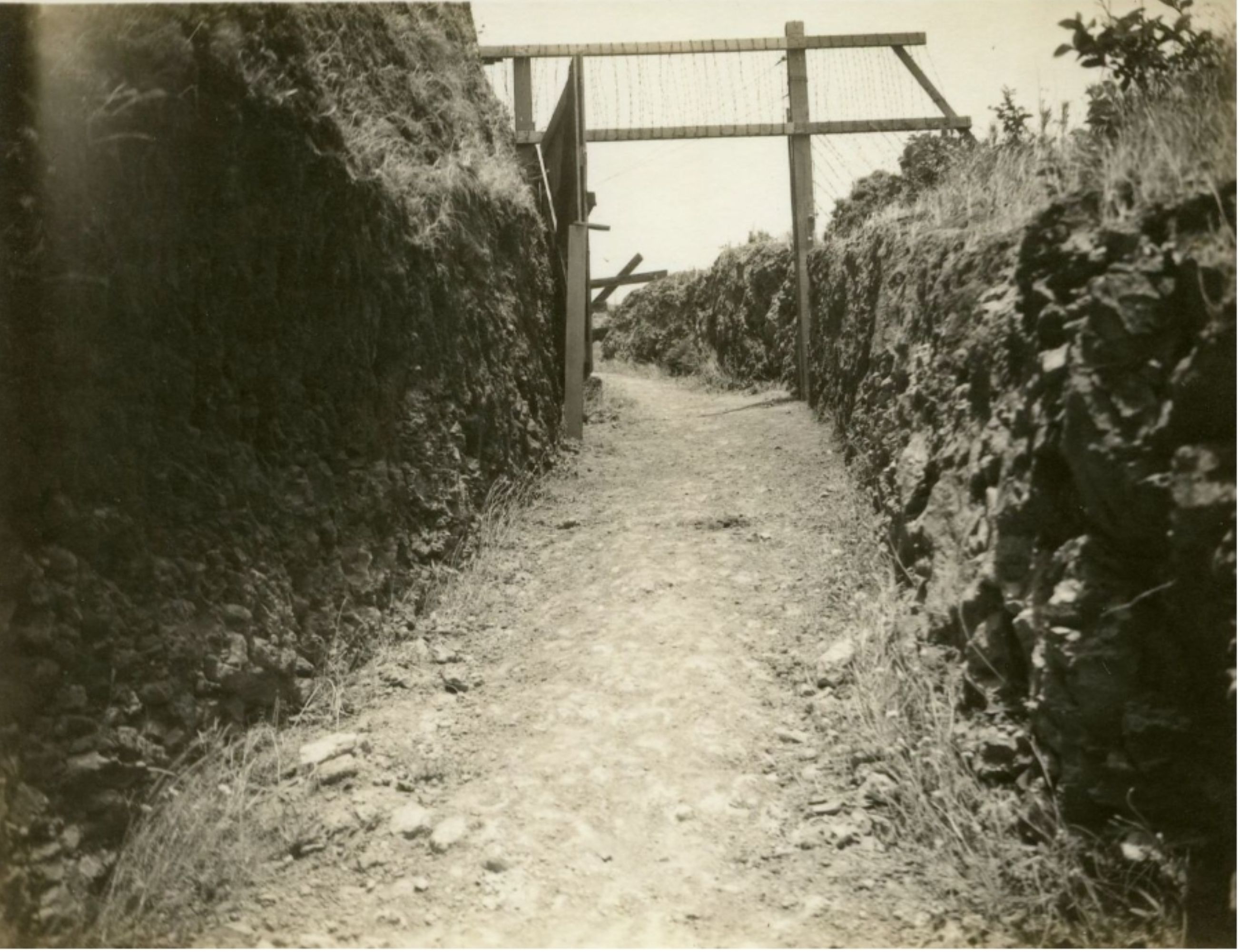 Outdoors; old sepia image of gravel path leading to fencing with gate open.