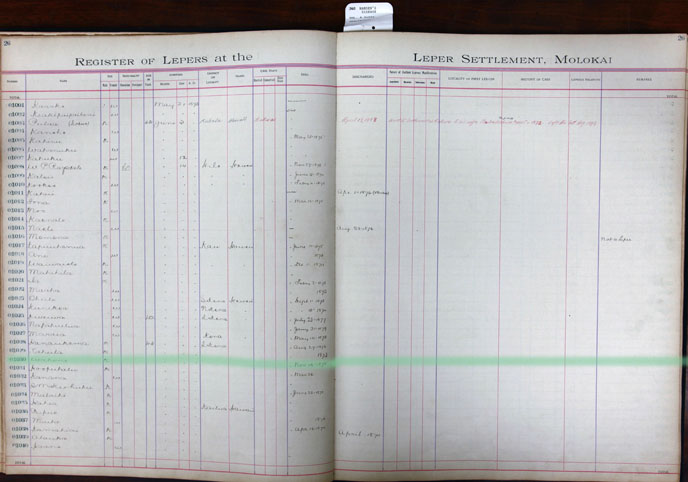 Register Image for #1030 - Wahine