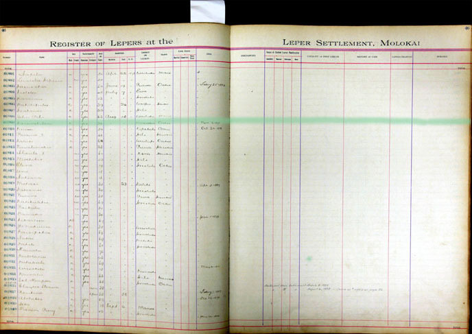 Register Image for #1809 - Kanewahilani