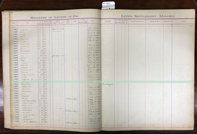 Register Image for #303 - Kahupali