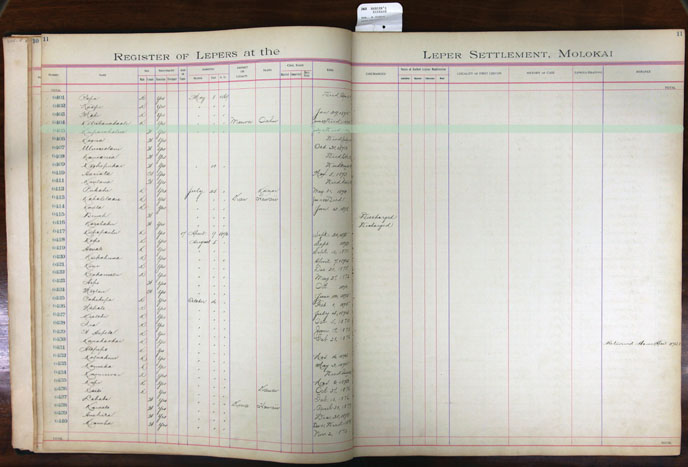 Register Image for #405 - Kupanahalua