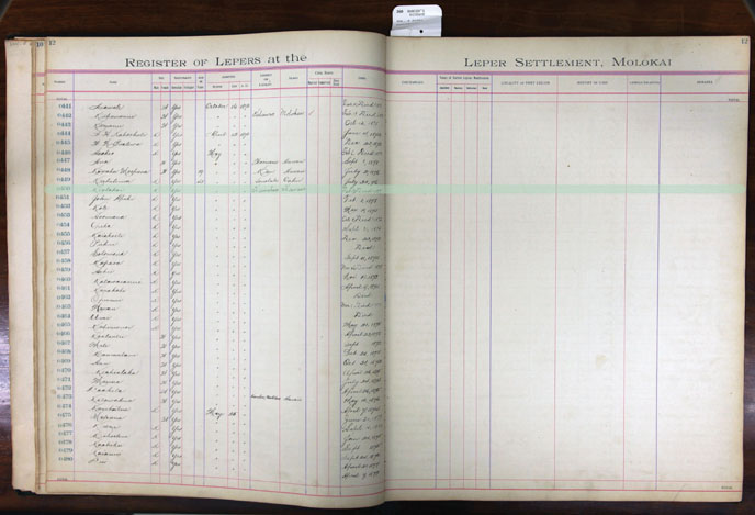 Register Image for #450 - Kealakai