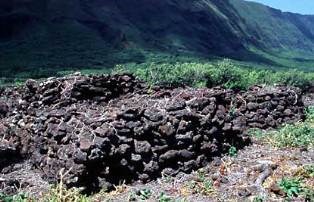 a rock wall creates a roughly square-like enclosure.