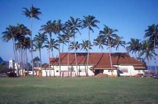 A large building with a darker roof surrounded by palm trees.