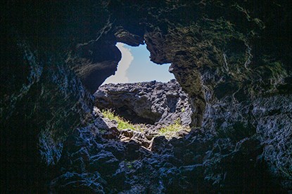 A lava tube with an opening at the top and some vegetation growing in it.