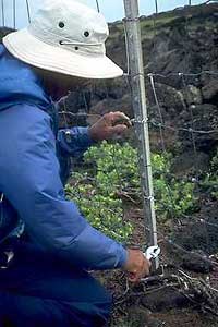 A person in a blue coat works on a fence.