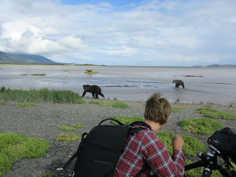 Visitors watch bears on the beach