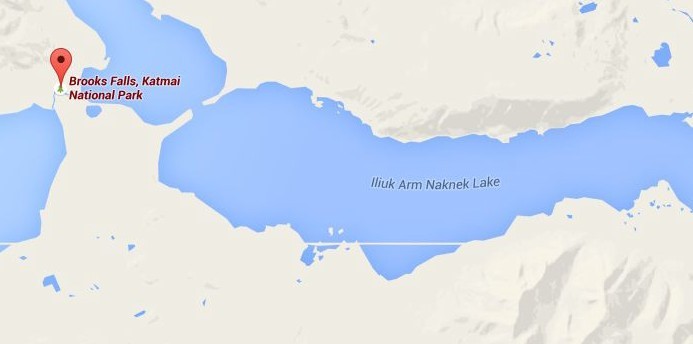 Map image showing Iliuk Arm, large lake on the right, in relation to Brooks Camp Developed Area, red pin on the left