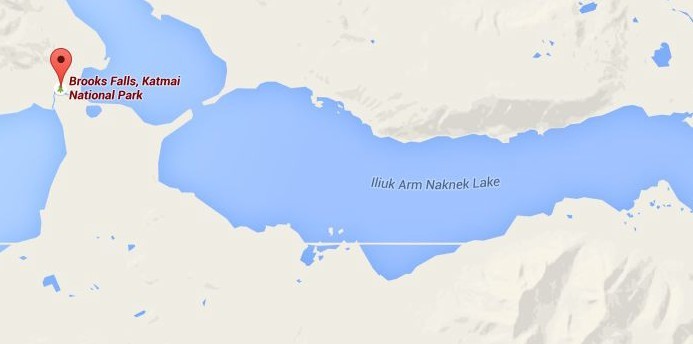 Map image showing Iliuk Arm in relation to Brooks Camp Developed Area Map image showing Iliuk Arm, large lake on the right, in relation to Brooks Camp Developed Area, red pin on the left