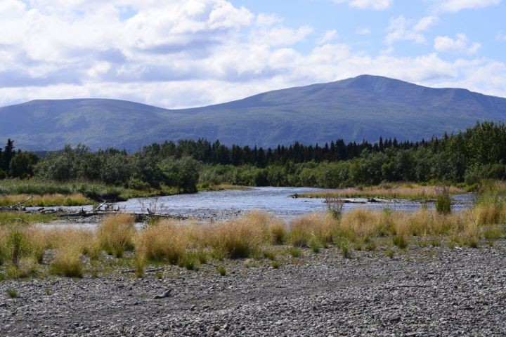 Rocks in the foreground followed by short foliage, a windy creek in the middle, then trees and mountains in the background