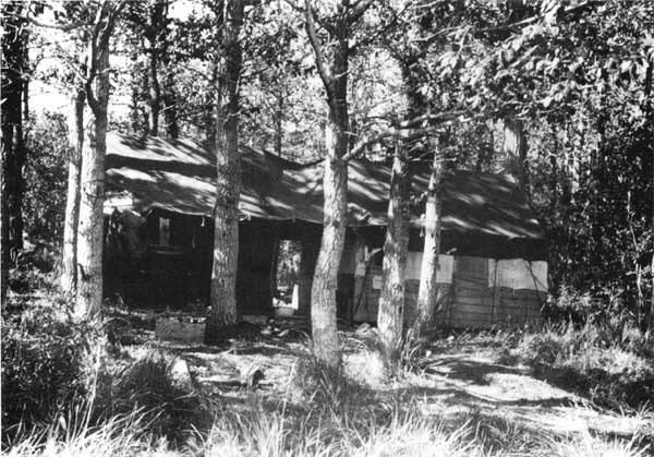 black and white photo of structure in wooded area