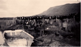 fish hang out to dry