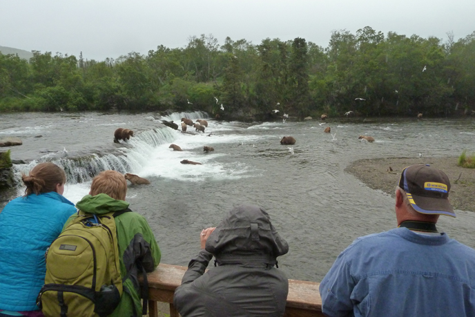 Bears and bear watchers at Brooks Falls