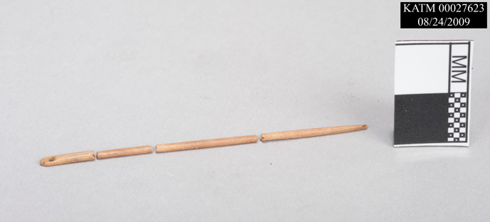 Broken bone needle pieces aligned Broken bone needle pieces aligned