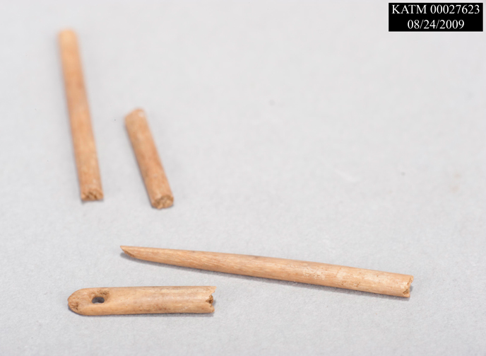 Broken bone needle pieces Broken bone needle pieces