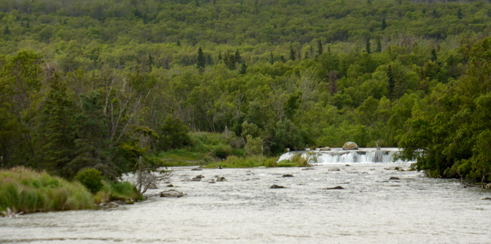 Brooks River in mid August