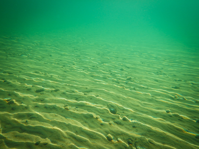 The sandy bottom of the Brooks River