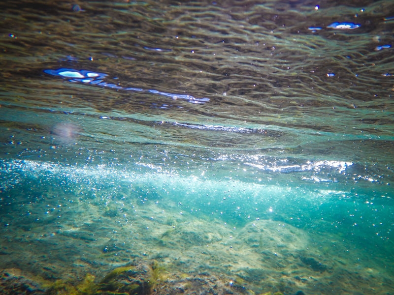 The river bottom filled wth boulders and gravel