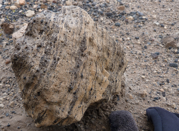 The striping in this piece of pumice is from different magmas. The darker bands are from andesite. The lighter bands are from dacite.