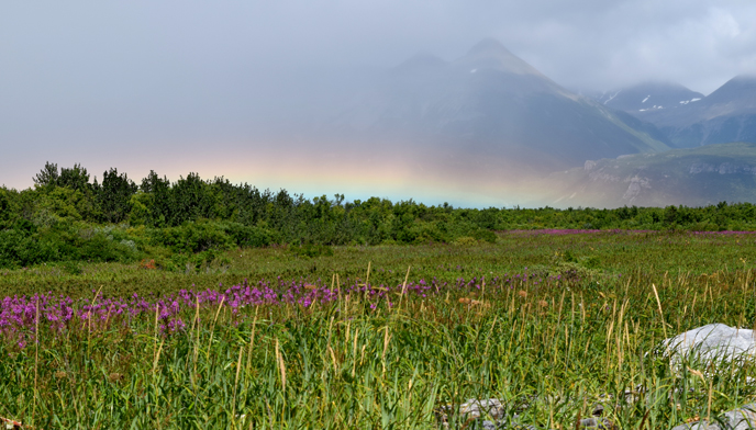 rainbow over meadow