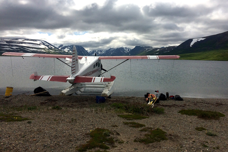 A small bush plane takes off