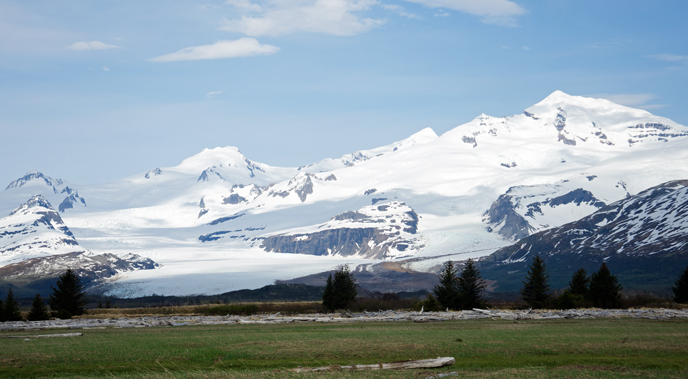 snow covered mountains behind lush, green meadow