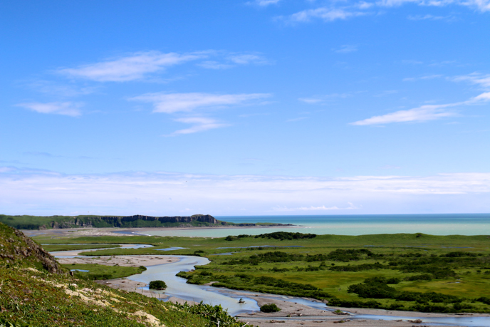 sea cliffs and island at the Pacific Ocean