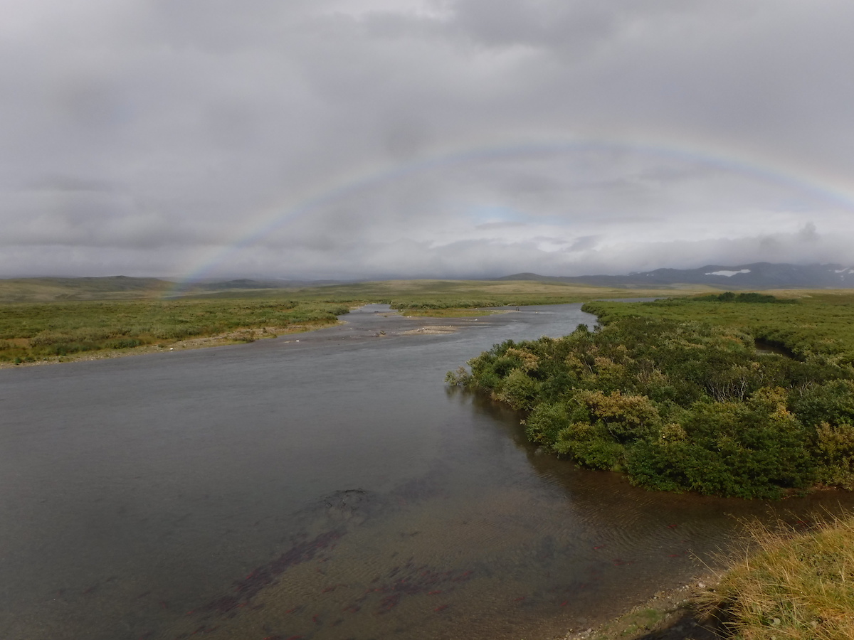 A rainbow over the confluence of Morraine and Funnel Creek