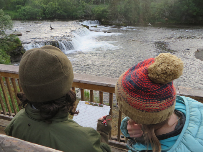 people holding clipboard while standing on platform in front of waterfall