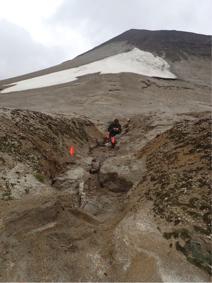 Archeologist looking in drainage. 