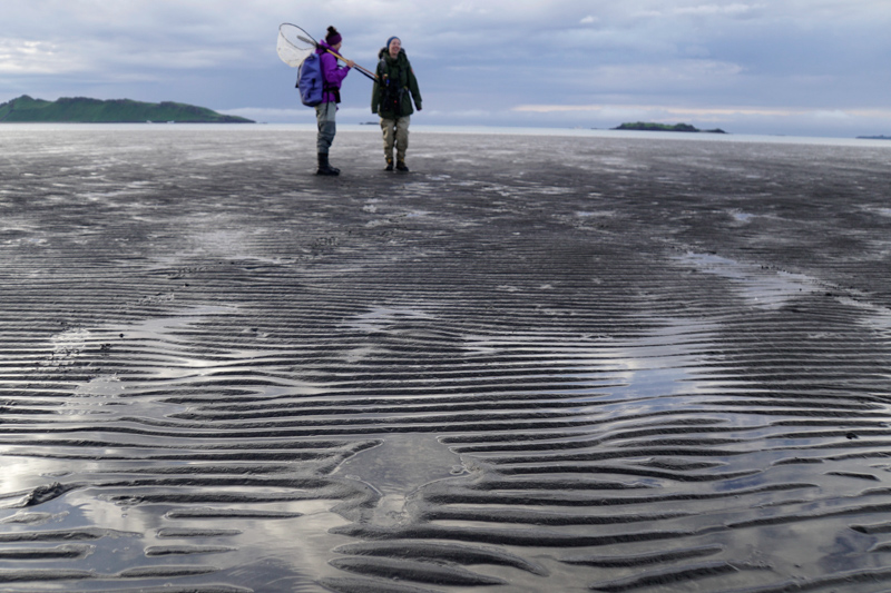 Rangers stand on the beach with a net