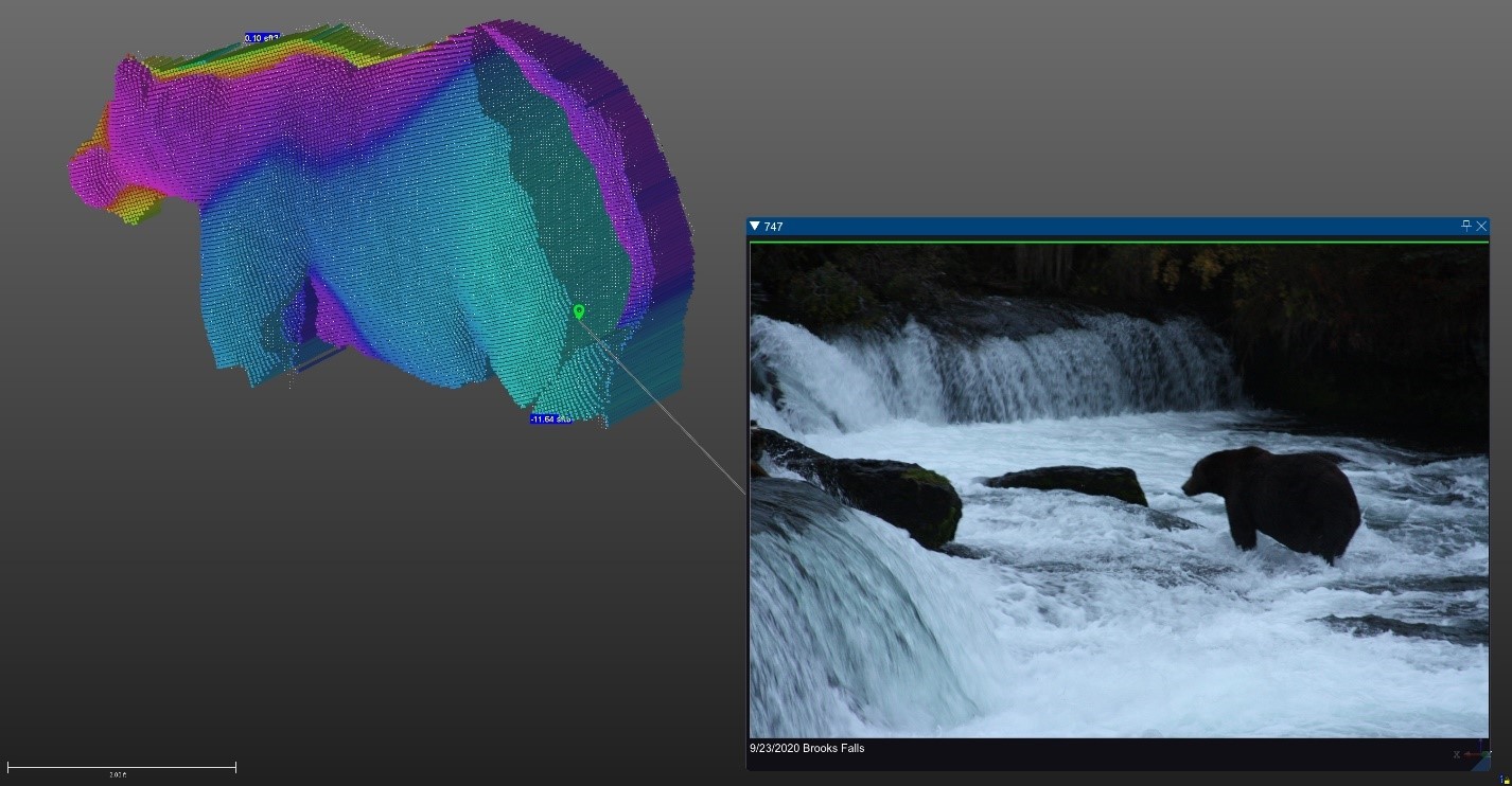 GIS scan of a brown bear next to a photo of that bear in the brooks river location it was scanned.