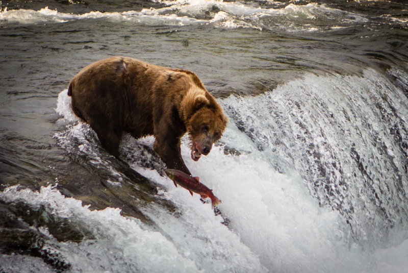 775 fishing on the lip of the falls